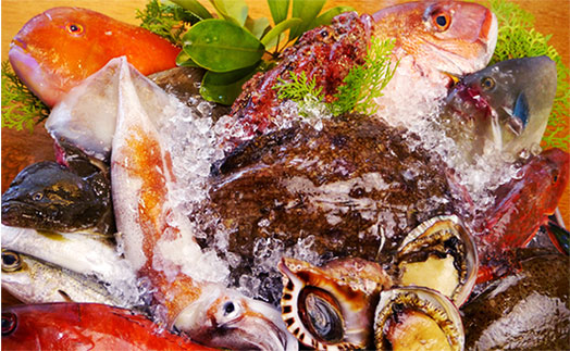 伊勢湾、志摩、紀州、地元漁師から買い付けする、新鮮な魚介類